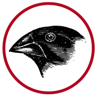 Sparkfinch Logo